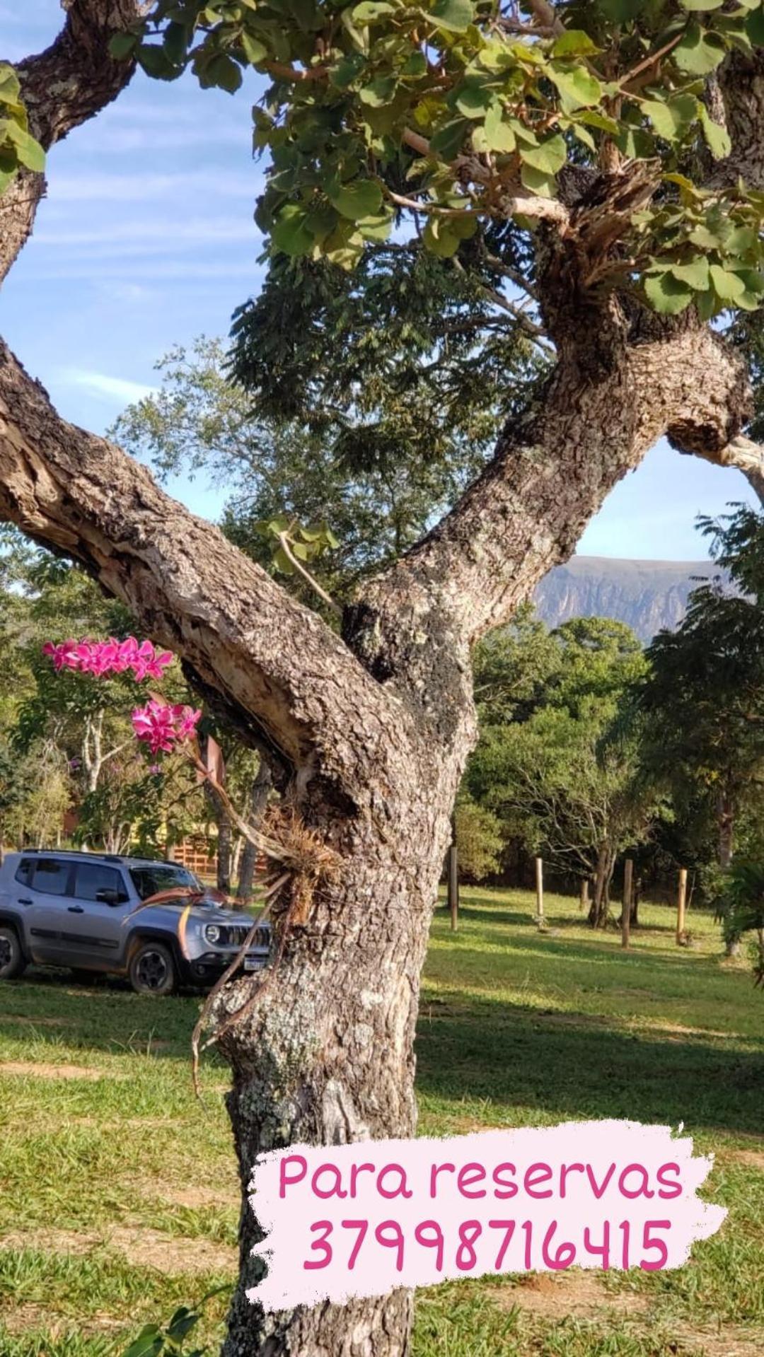 Pousada Aguas Da Canastra Vargem Bonita Exteriér fotografie